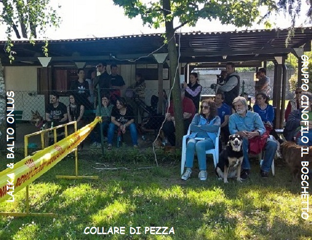 WP 20160515 16 41 21 Pro LI Copia