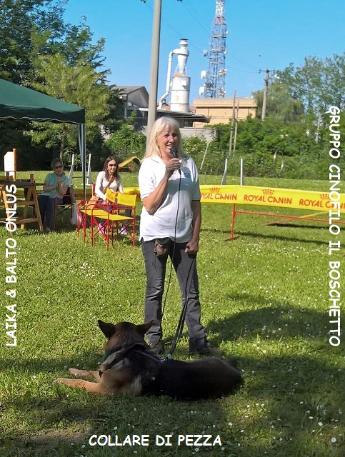 WP 20160515 16 42 01 Pro LI Copia