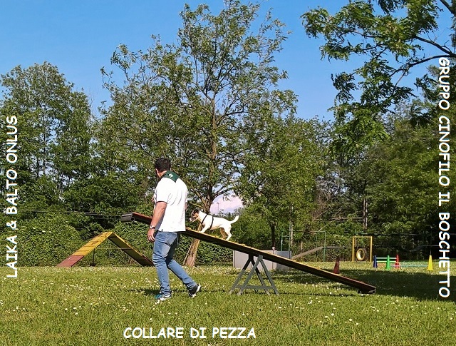 WP 20160515 16 46 11 Pro LI Copia