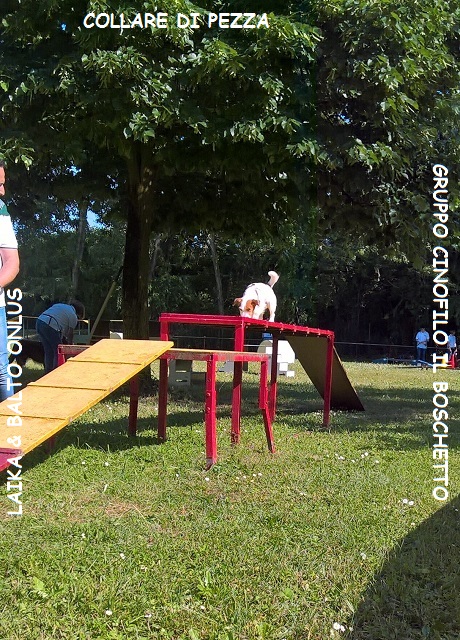 WP 20160515 16 48 56 Pro LI Copia