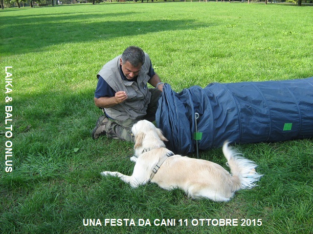 10una festa da cani 11 10 2015 Copia