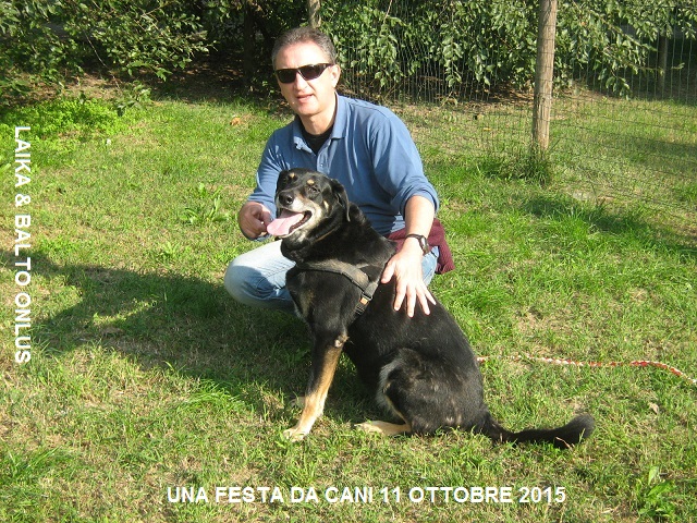 12una festa da cani 11 10 2015 Copia