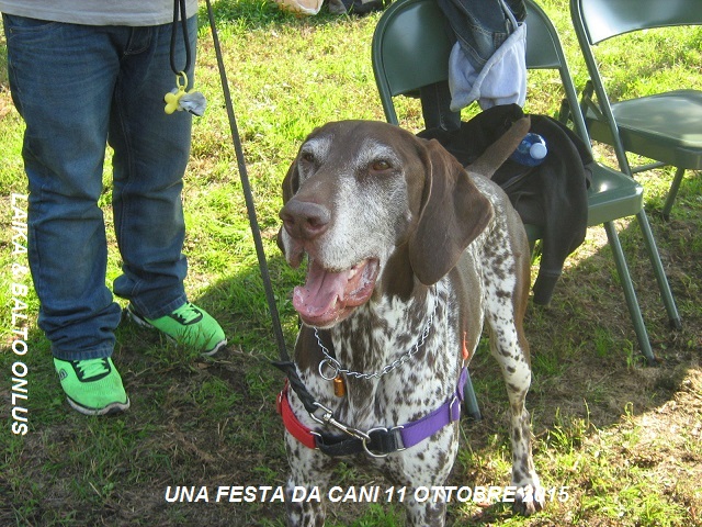 3una festa da cani 11 10 2015 Copia