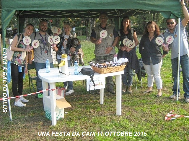 4una festa da cani 11 10 2015 Copia