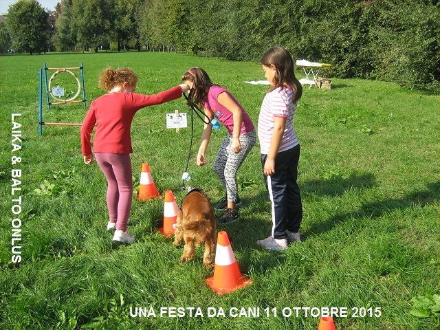 7una festa da cani 11 10 2015 Copia