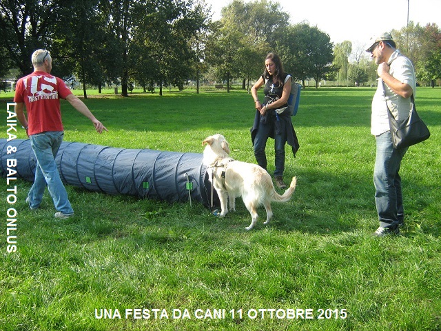 8una festa da cani 11 10 2015 Copia