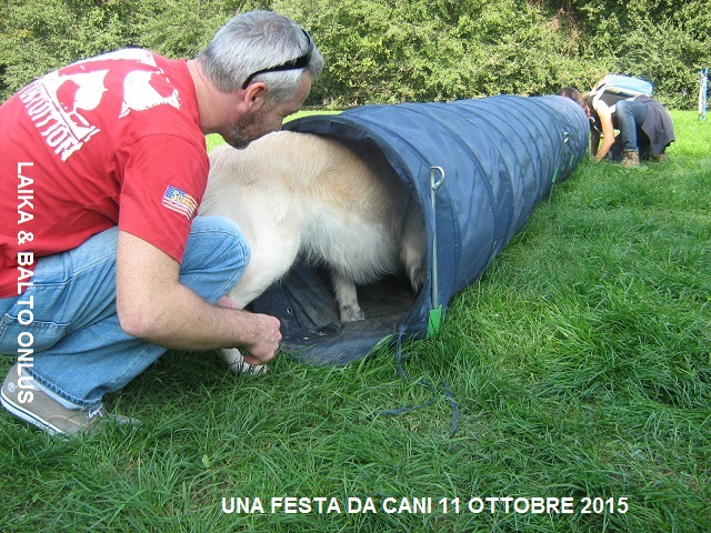 9una festa da cani 11 10 2015 Copia