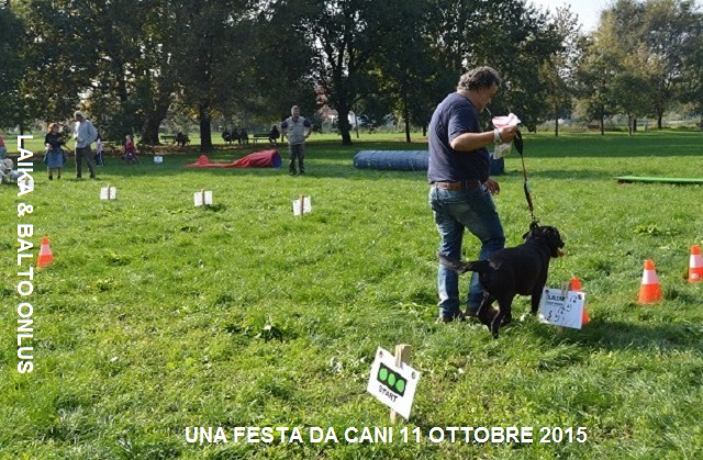 FESTA DA CANI 020 Copia