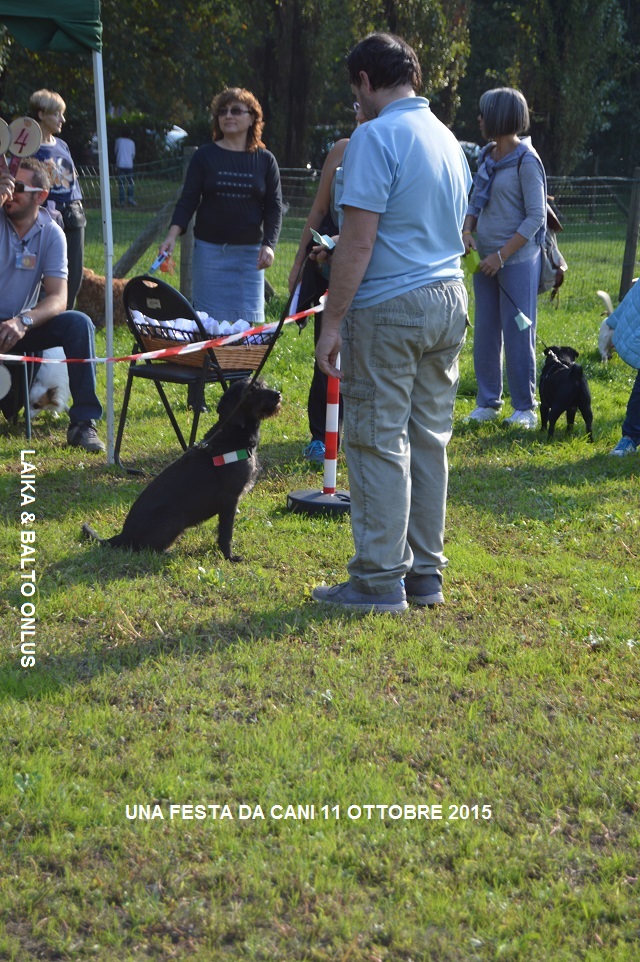 FESTA DA CANI 097 Copia