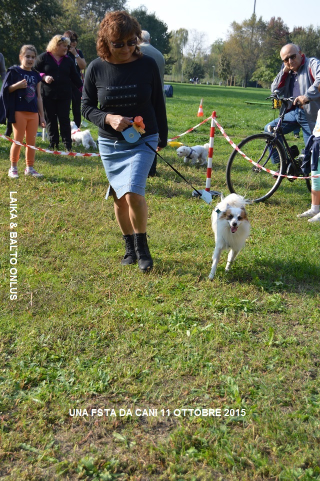 FESTA DA CANI 101 Copia