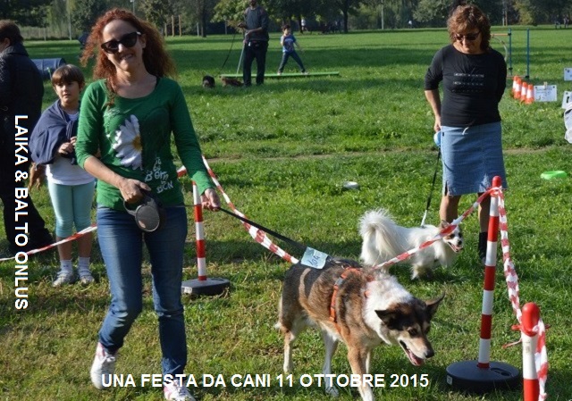 FESTA DA CANI 117 Copia