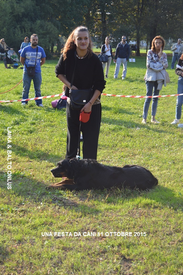 FESTA DA CANI 164 Copia