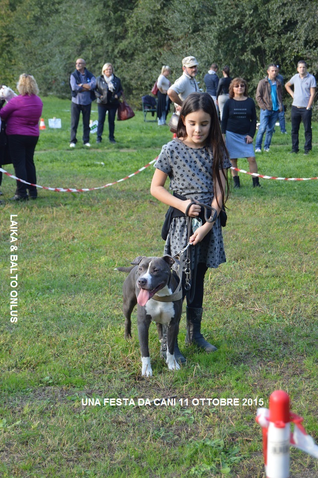 FESTA DA CANI 181 Copia