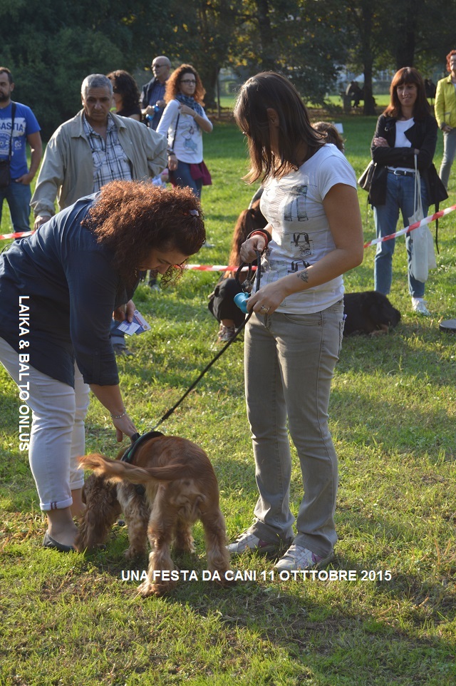 FESTA DA CANI 190 Copia