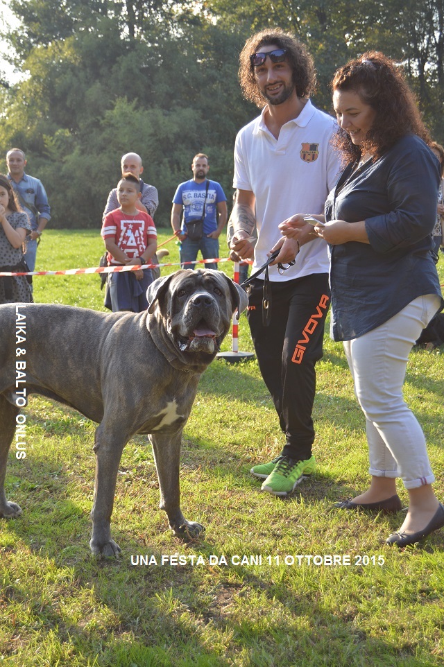 FESTA DA CANI 199 Copia