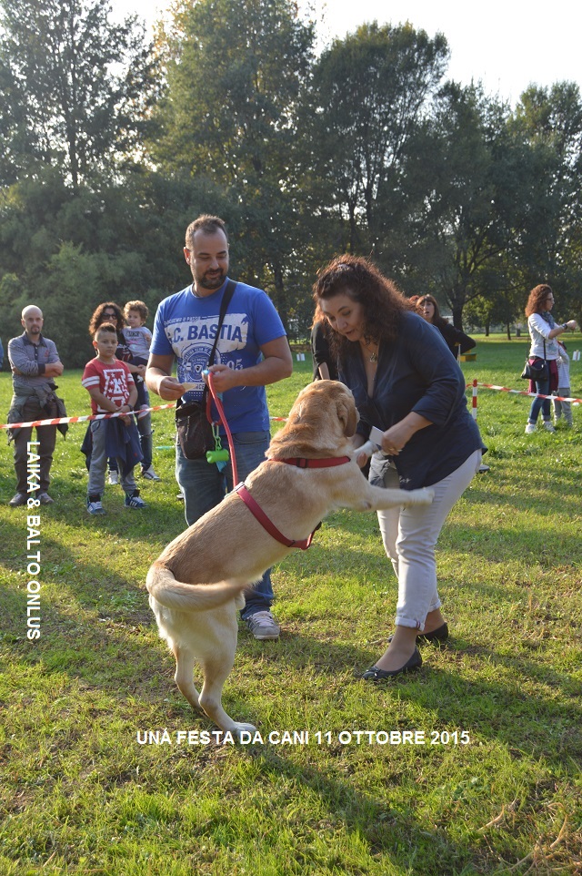 FESTA DA CANI 203 Copia