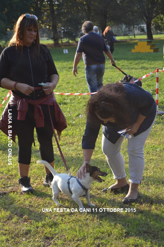 FESTA DA CANI 223 Copia