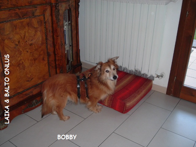 BOBBY CASA1copia