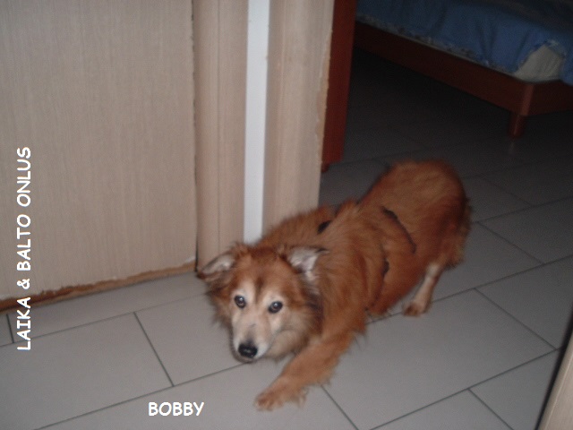BOBBY CASA 5 Copia