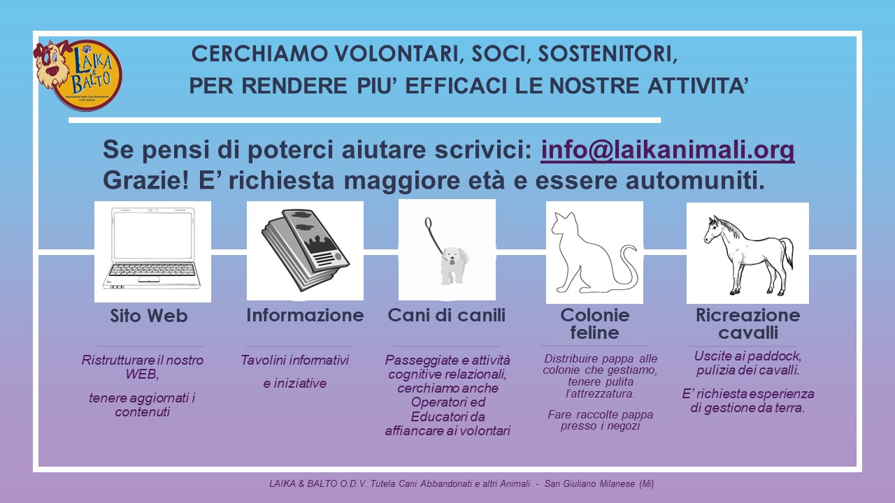 cerca volontari 2023