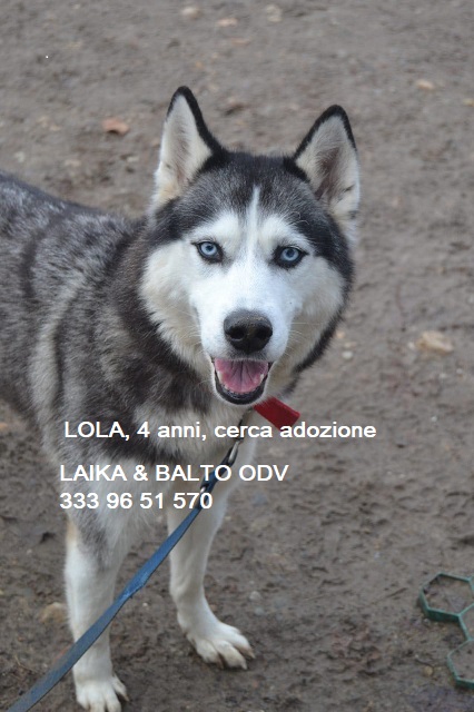 lola2_-_Copia.jpg