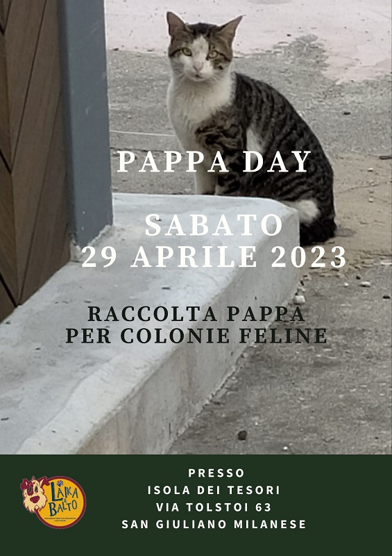 raccolta pappe sabato 29 aprile 2023
