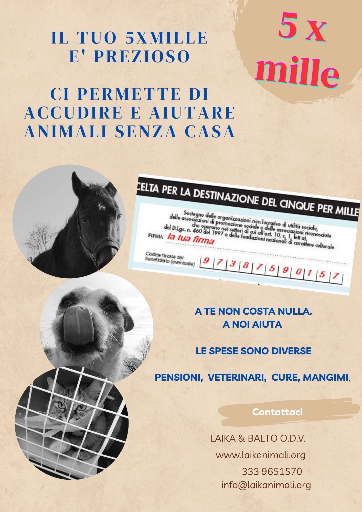 volantino 5xmille