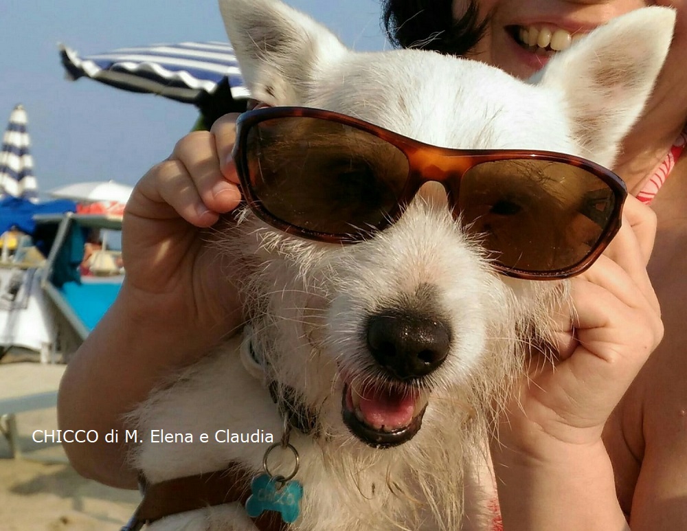 CHICCO in spiaggia 1