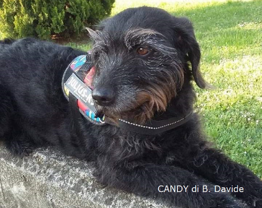 Candy di B. Davide