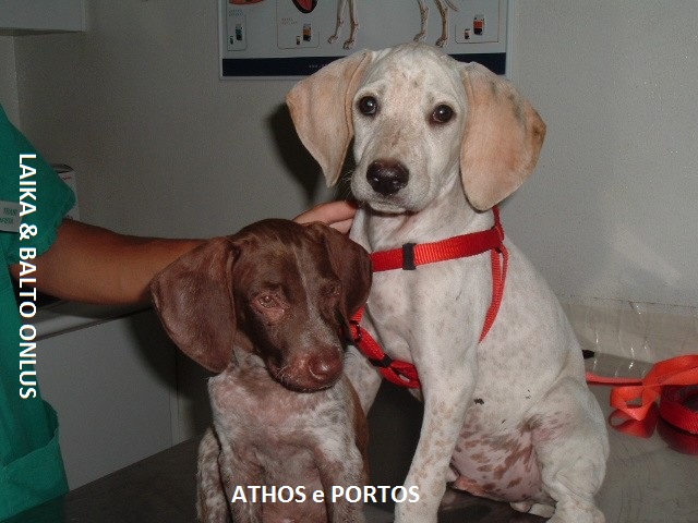 Athos e Portos2 Copia Copia