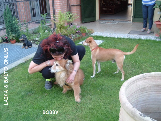 BOBBY CASA 2 Copia