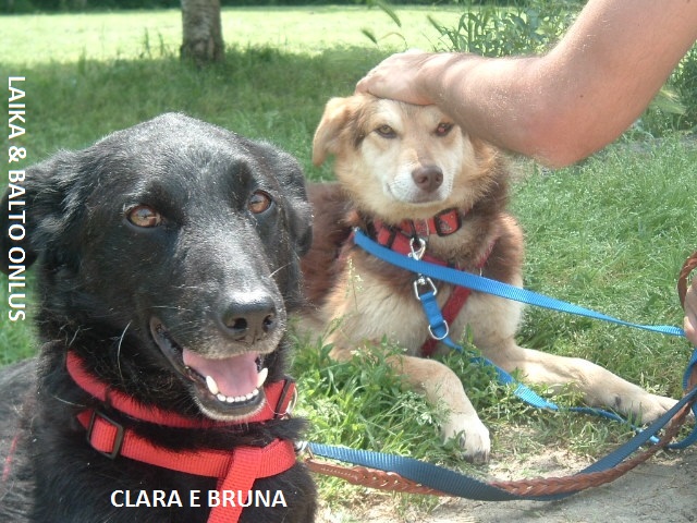 Clara e Bruna Copia