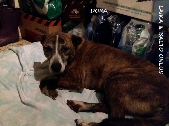 DORA CASA 29 APRILE 17