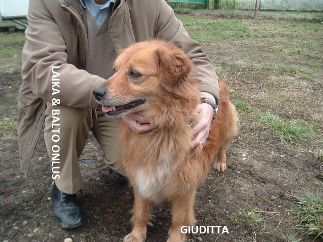 Giuditta1