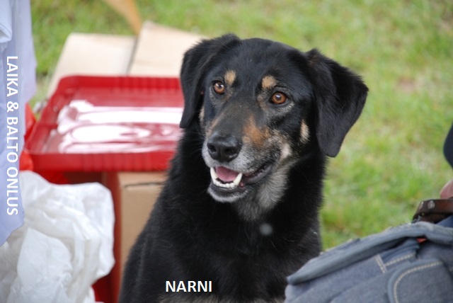 Narni Copia