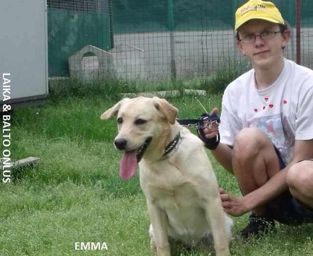 emma2010 Copia