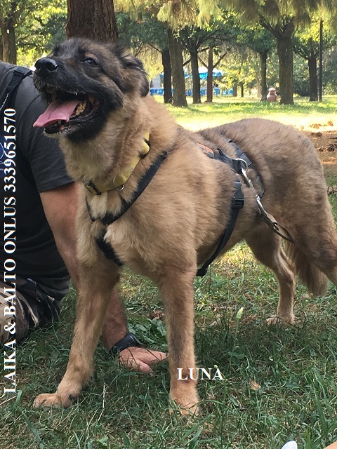 LUNA3 AL PARCO 3.9.2016 Copia