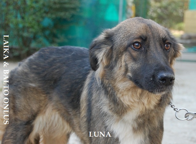 Luna2 20 9 08 Copia