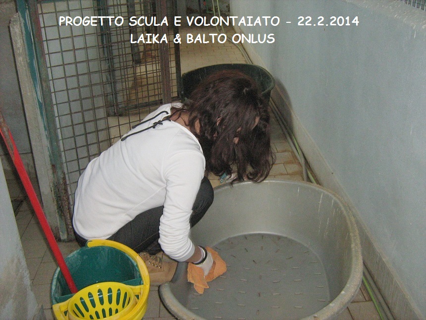 13 scuola volontariato 22 2 2014 Copia