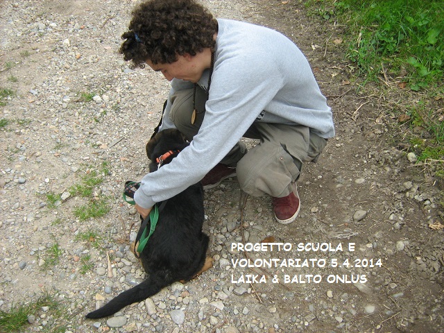 18 PROGETTO SCUOLA E VOLONTARIATO 5 4 2014 Copia