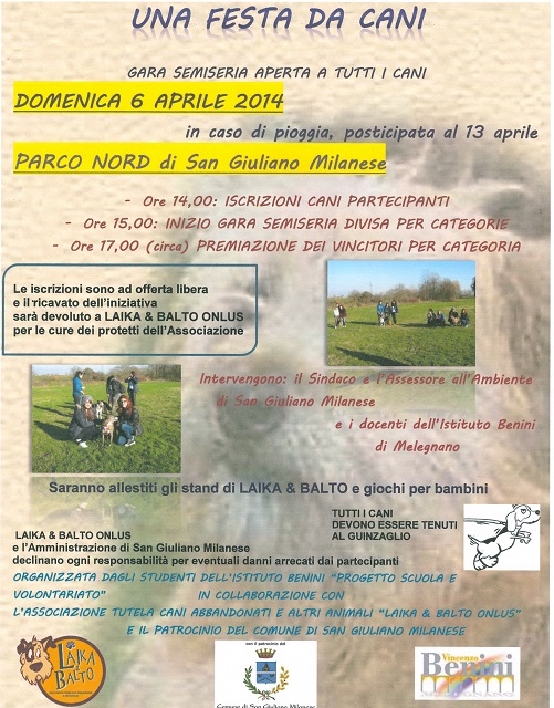 una festa da cani 6 4 20140001