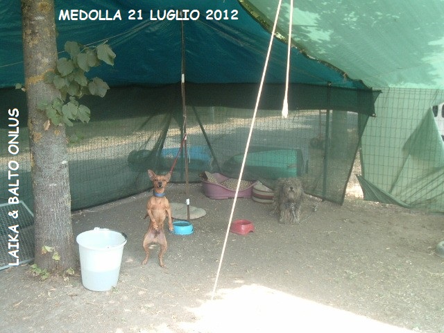 14medolla 21 7 2012