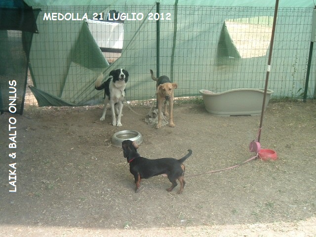 15medolla 21 7 2012