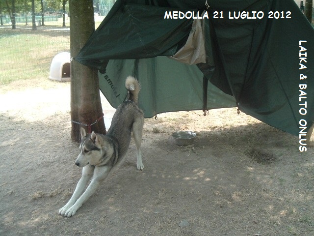 9medolla 21 7 2012