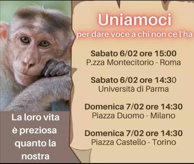 manifestazioni contro la ricerca sui macachi