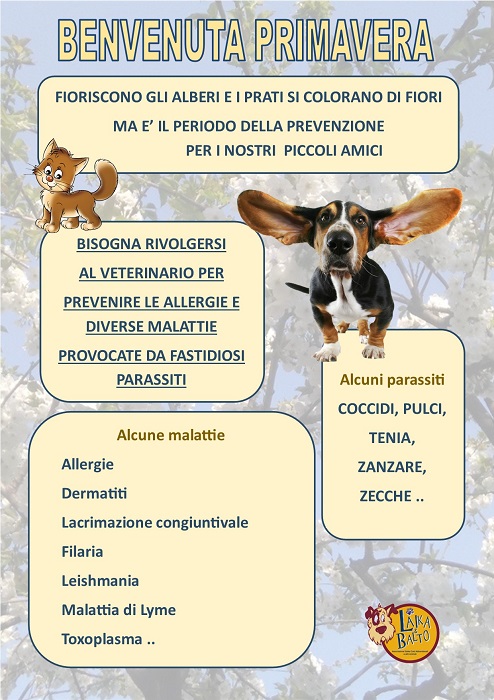 primavera prevenzione